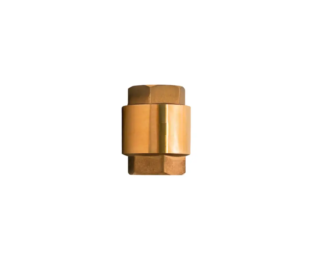 [CCHRR002] VALV CHECK RESORTE RUGO DE 3/4