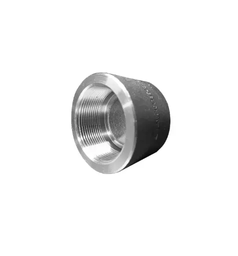 [2168104] TAPON CACHUCHA ROSC ACERO AL CARBON 3000LB DE 1 1/4