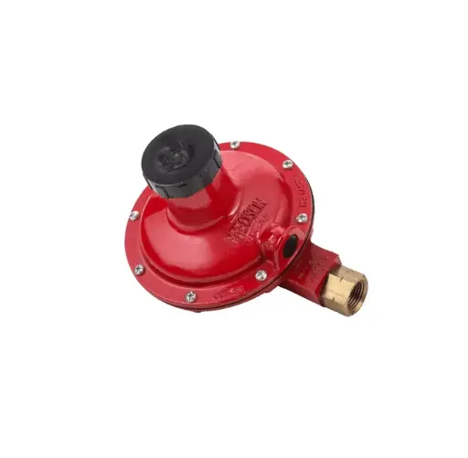 [311791] [5062003] REGULADOR GAS GRANDE IUSA A/PRES ALTO CONSUMO