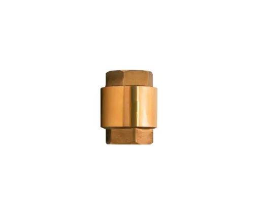 [CCHRR002] VALV CHECK RESORTE RUGO DE 3/4